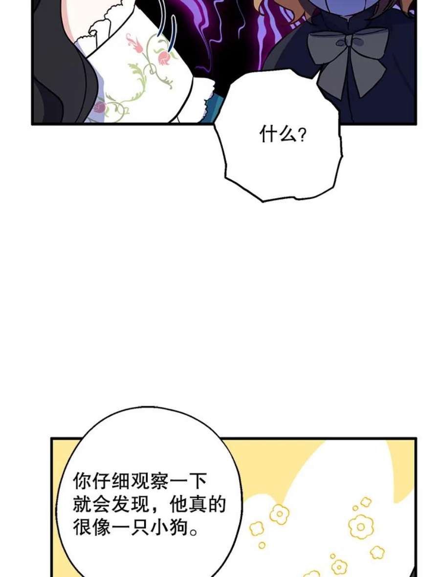 请张嘴，金汤匙来了7.寻找新郎（1）