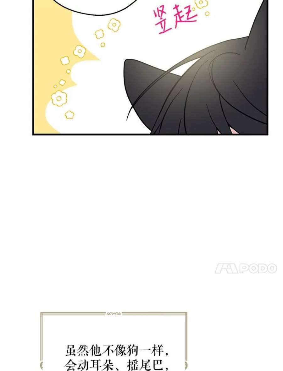 请张嘴，金汤匙来了7.寻找新郎（1）