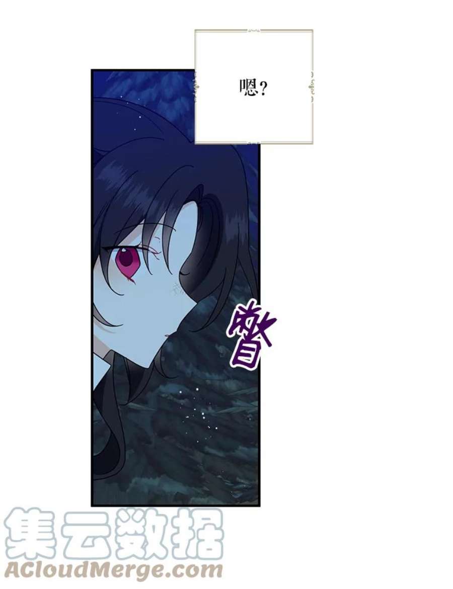 请张嘴，金汤匙来了20.深夜的偶遇（1）