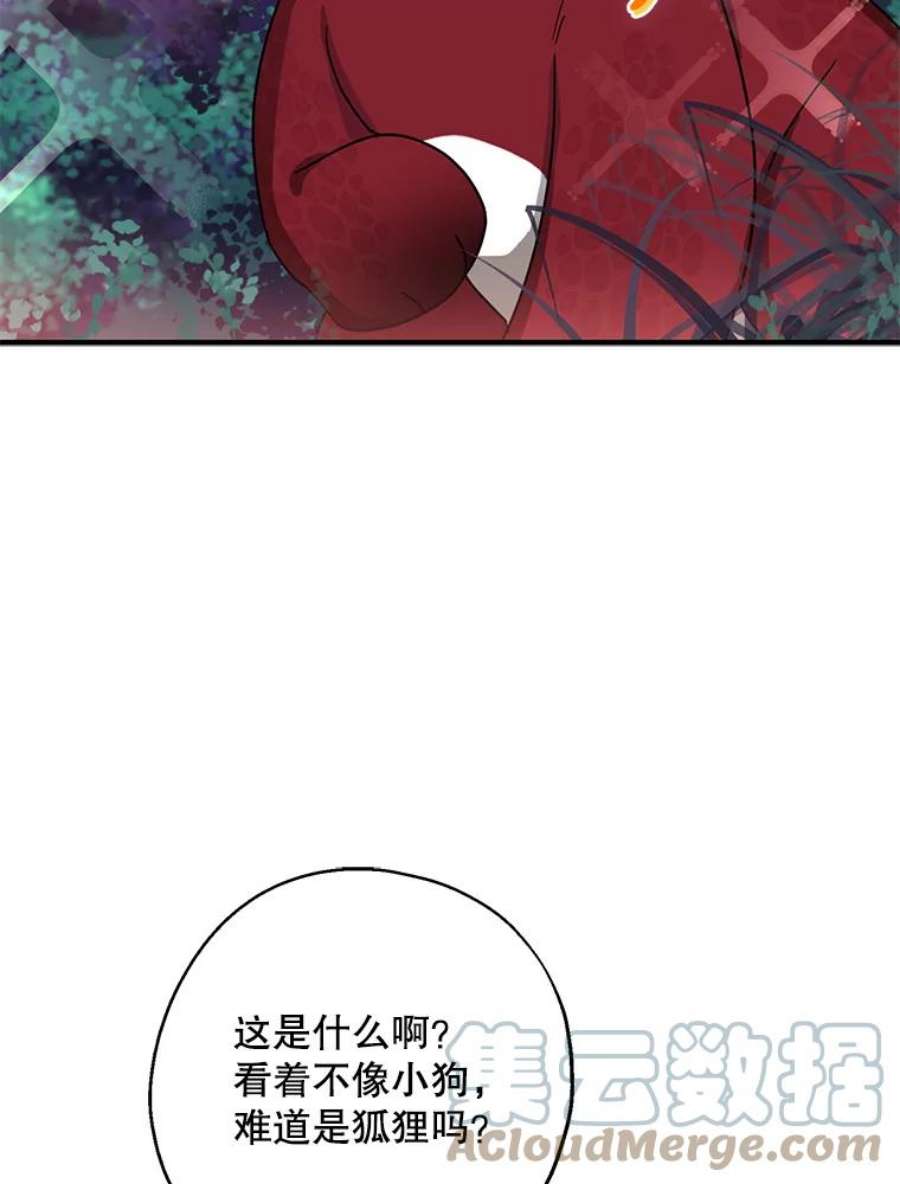 请张嘴，金汤匙来了33.离开大教堂（2）