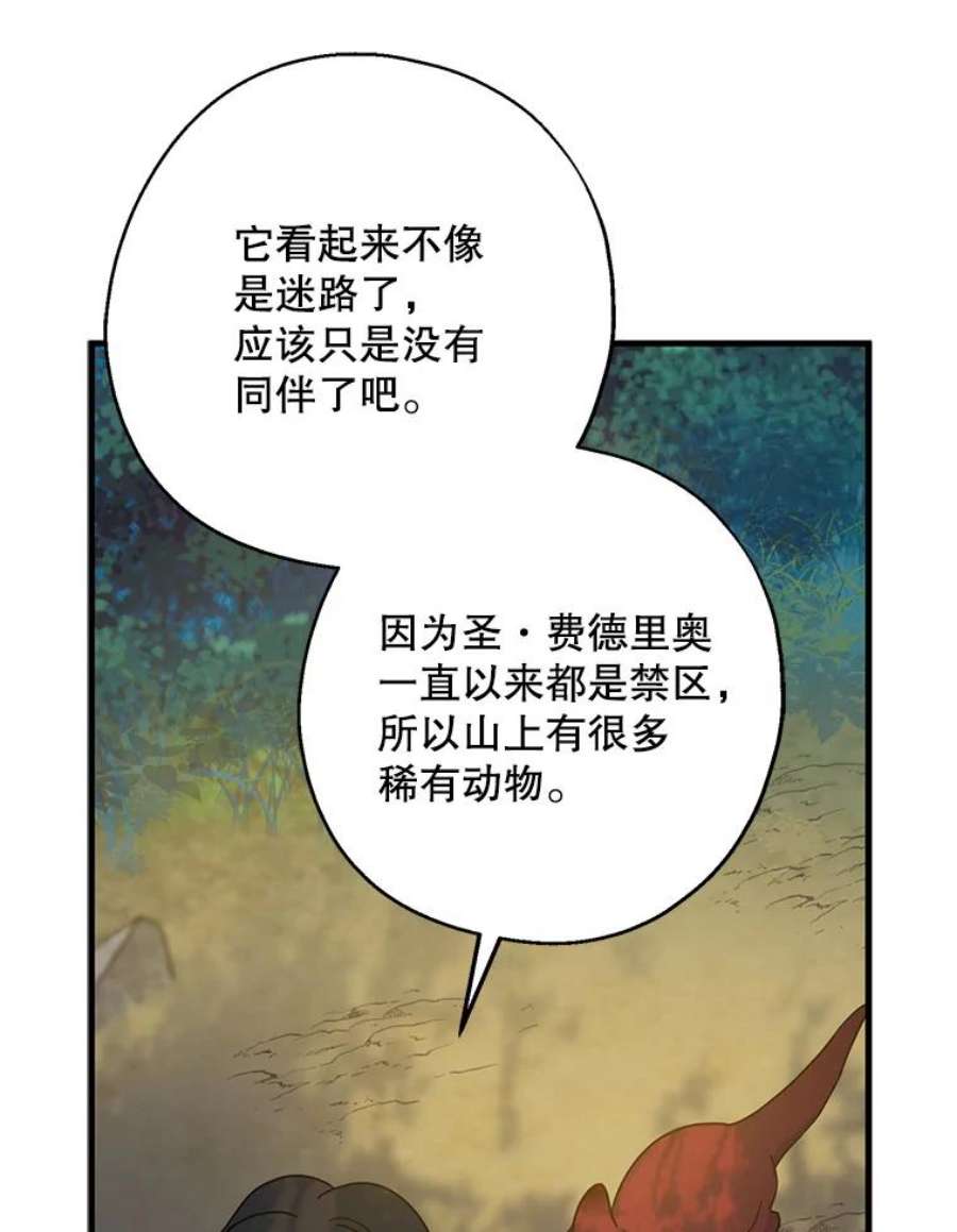 请张嘴，金汤匙来了33.离开大教堂（2）