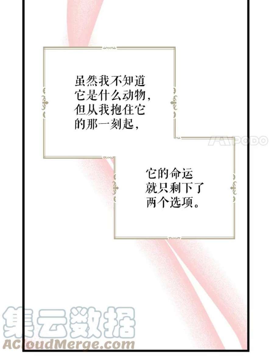 请张嘴，金汤匙来了33.离开大教堂（2）