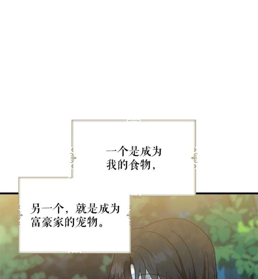 请张嘴，金汤匙来了33.离开大教堂（2）