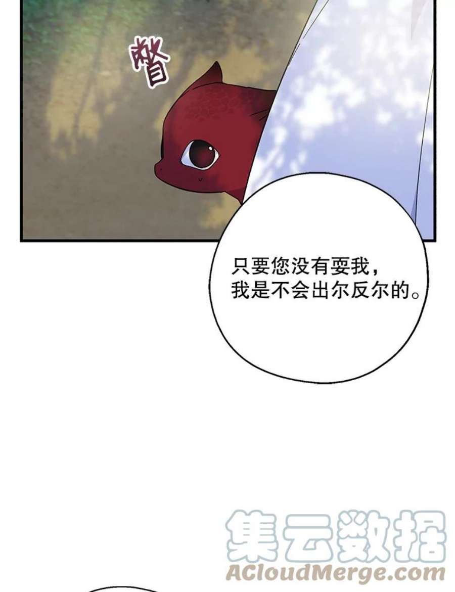 请张嘴，金汤匙来了34.修成正果