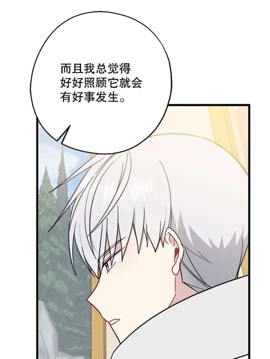 请张嘴，金汤匙来了36.下山