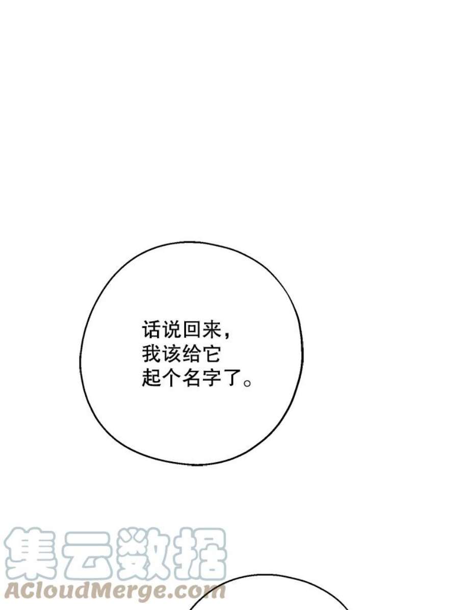 请张嘴，金汤匙来了36.下山
