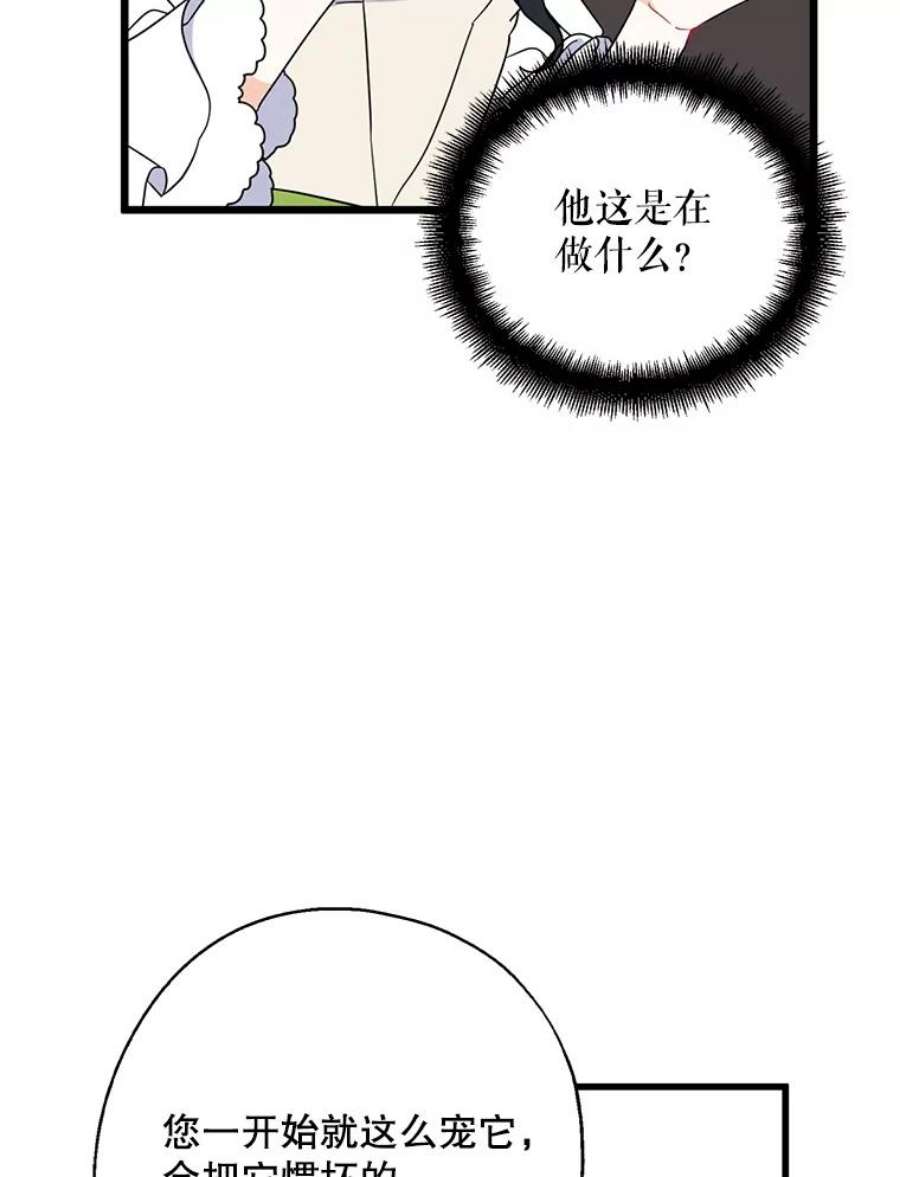 请张嘴，金汤匙来了36.下山