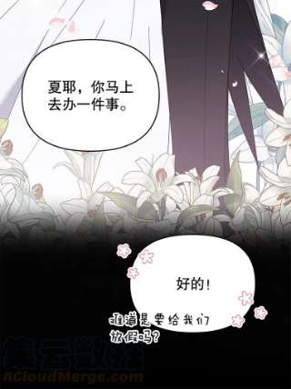 为了帮助你理解12.闪亮登场