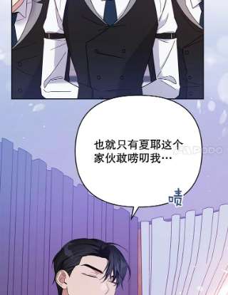 为了帮助你理解16.薇尔丽夜不归宿