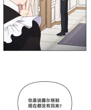 为了帮助你理解16.薇尔丽夜不归宿