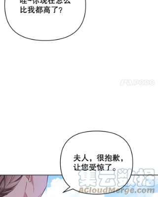 为了帮助你理解16.薇尔丽夜不归宿