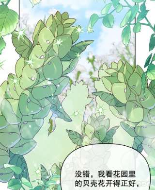 为了帮助你理解16.薇尔丽夜不归宿