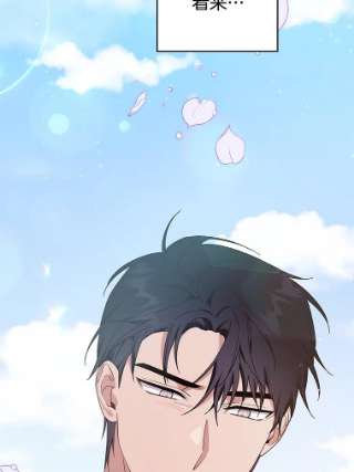 为了帮助你理解32.雨过天晴