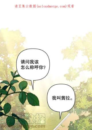 为了帮助你理解59.薇尔丽受伤