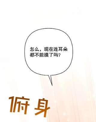 为了帮助你理解59.薇尔丽受伤