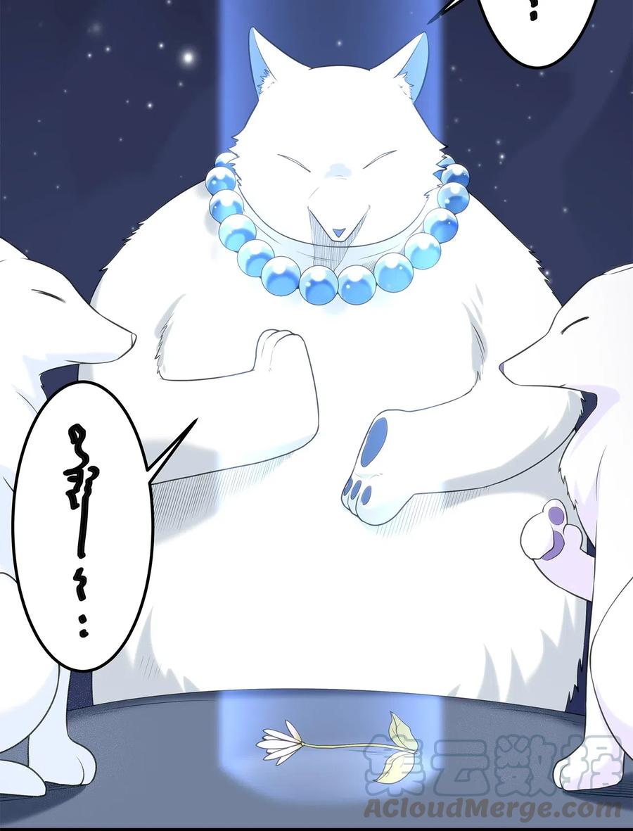 本圣女摊牌了006 第二魂宠