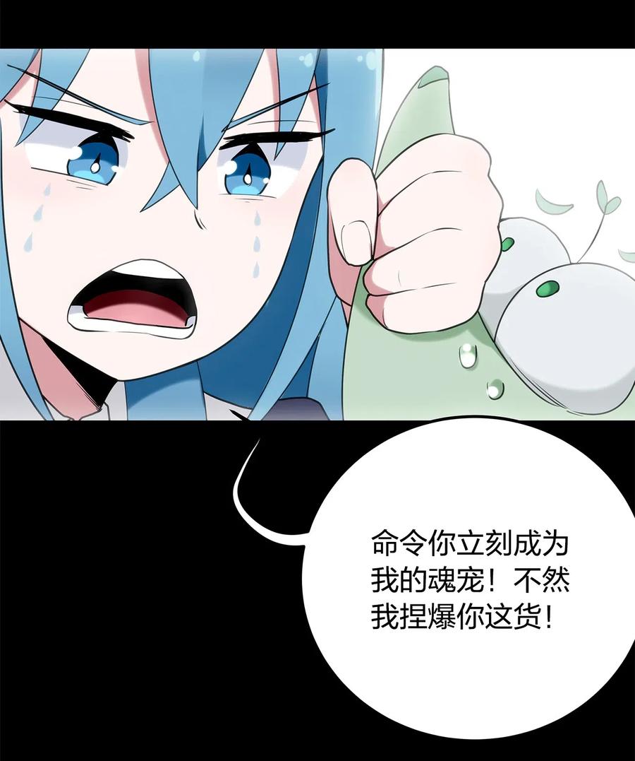本圣女摊牌了006 第二魂宠