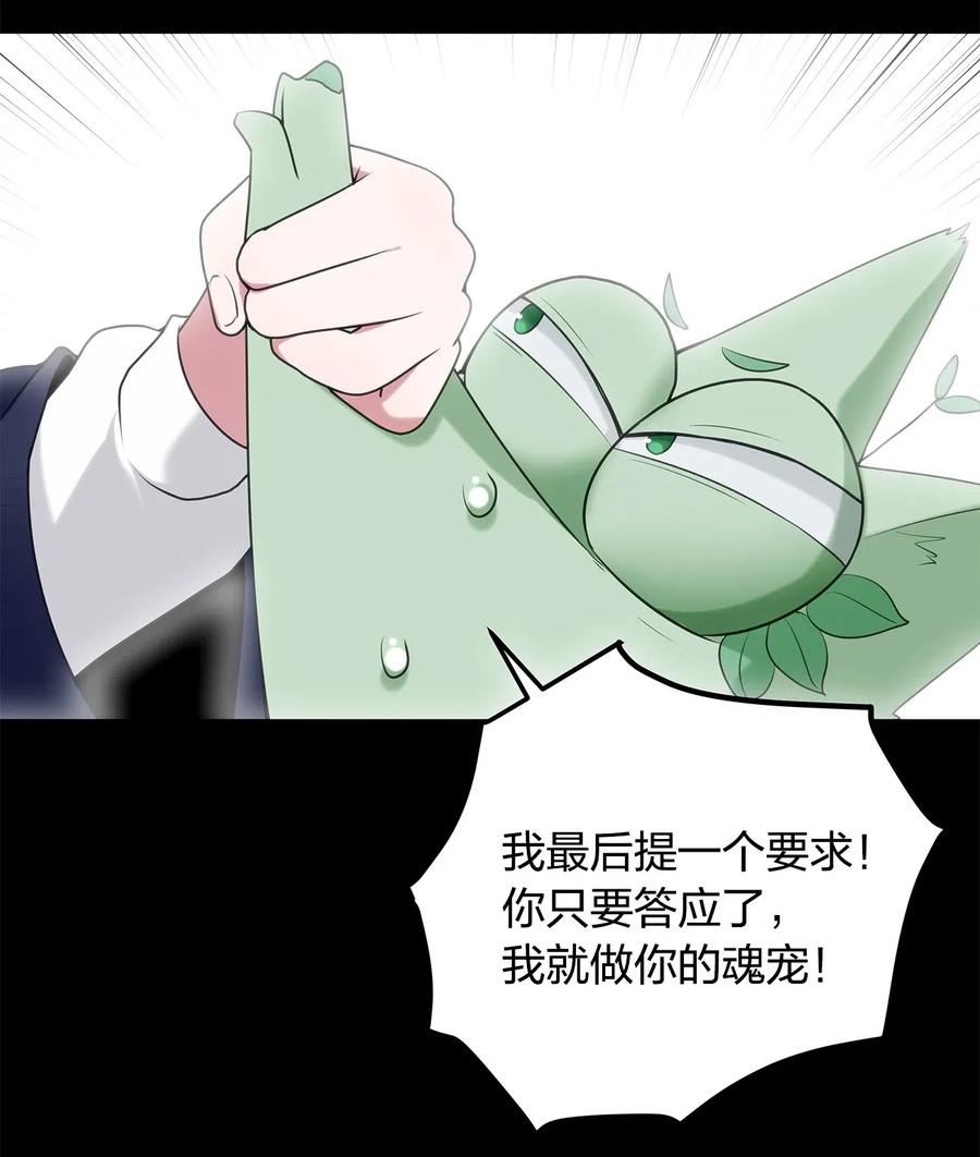 本圣女摊牌了006 第二魂宠