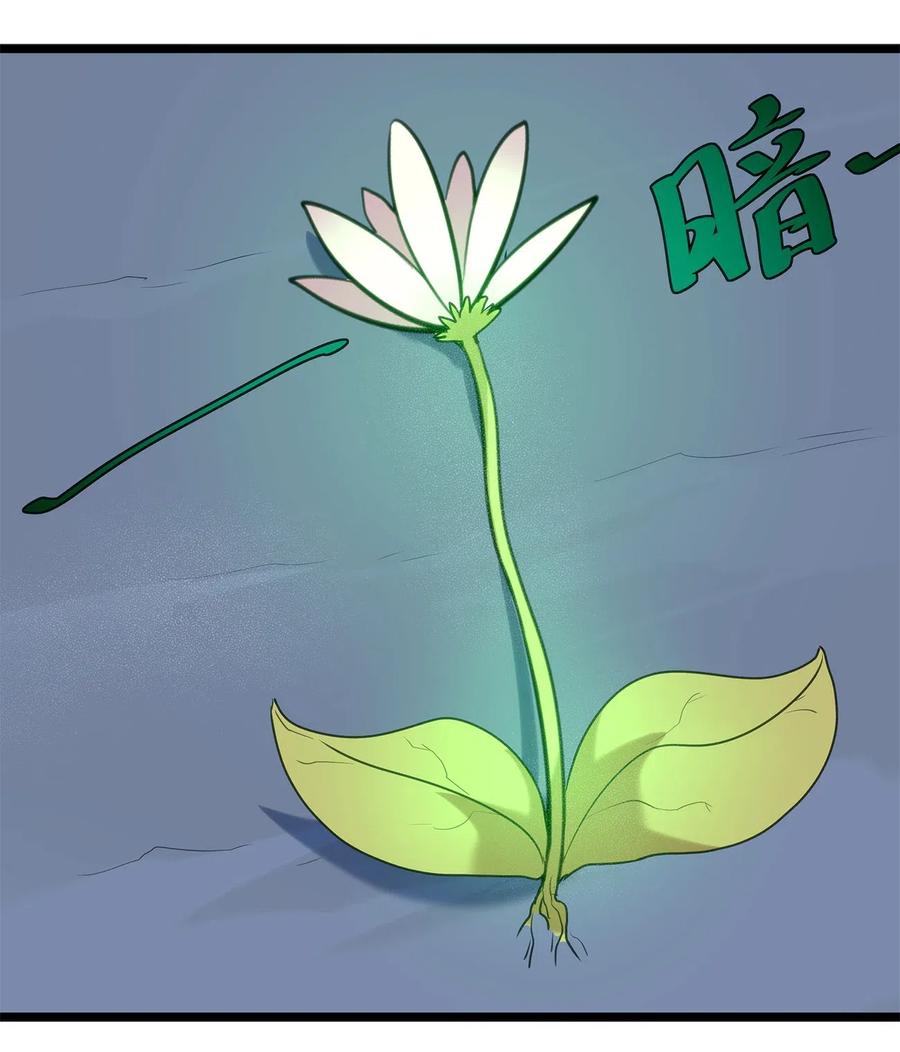 本圣女摊牌了006 第二魂宠