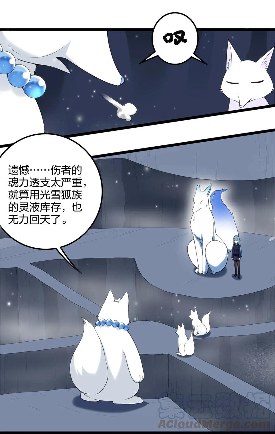 本圣女摊牌了006 第二魂宠