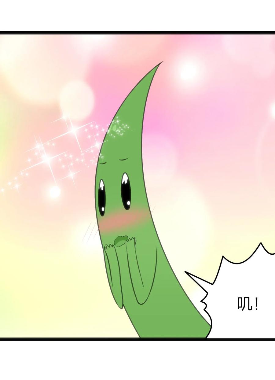 本圣女摊牌了037 重整旗鼓