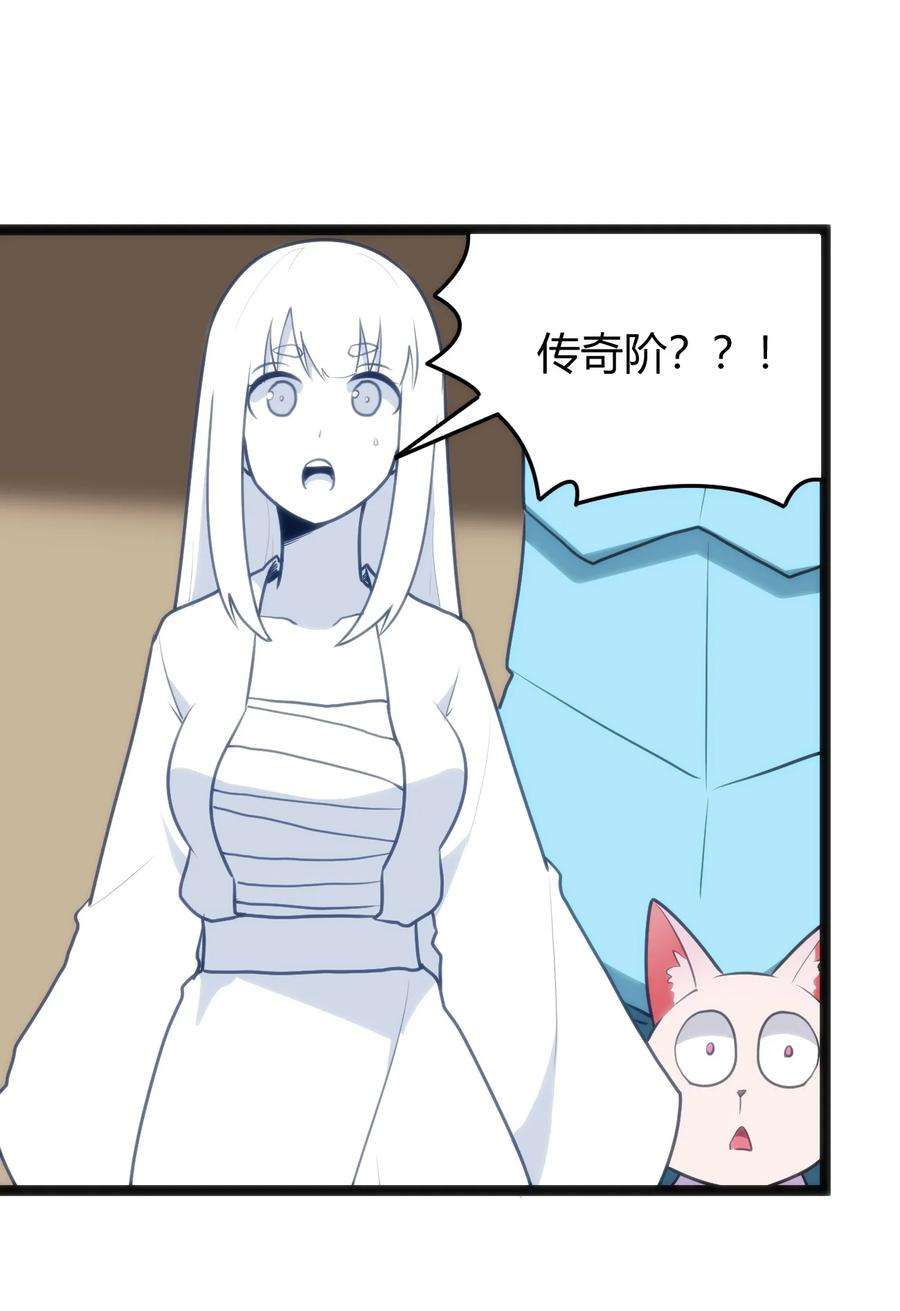 本圣女摊牌了111 传奇阶