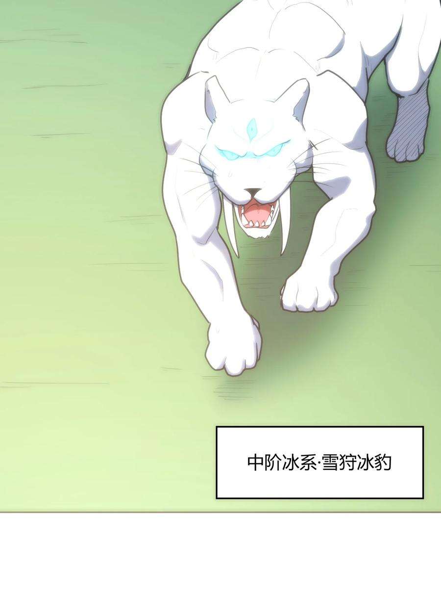 本圣女摊牌了151 积分擂台赛