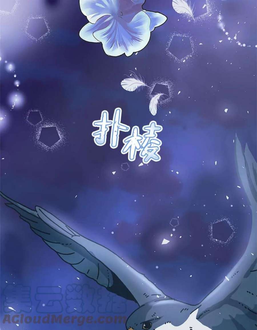 配角时间有限13.前往北部