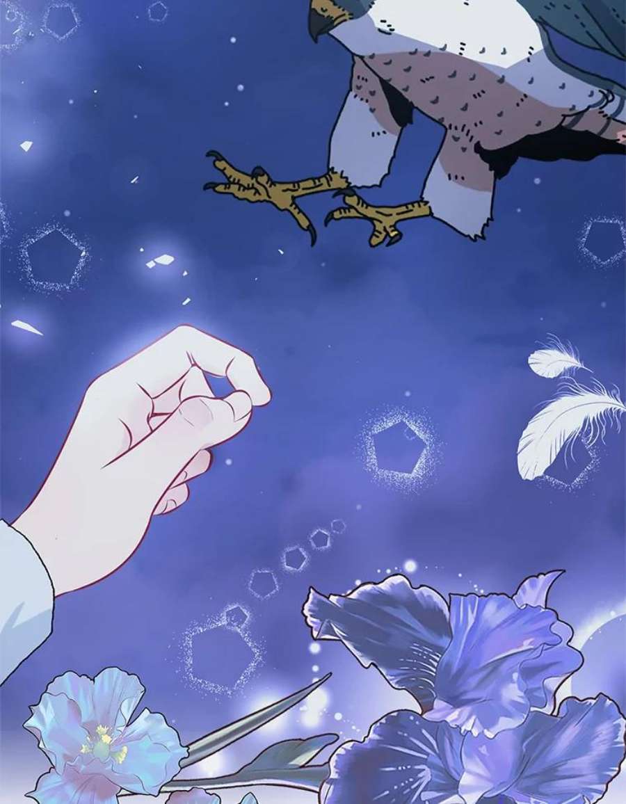 配角时间有限13.前往北部