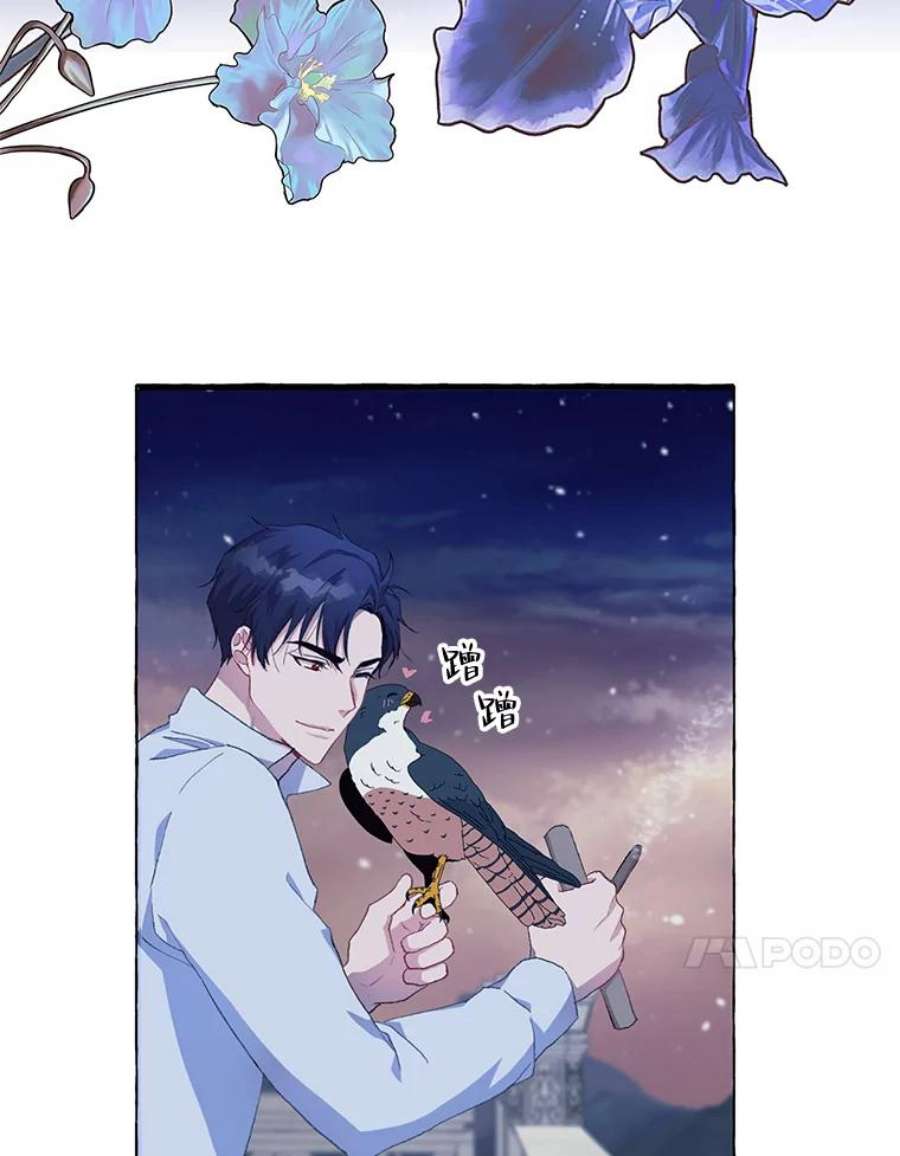 配角时间有限13.前往北部