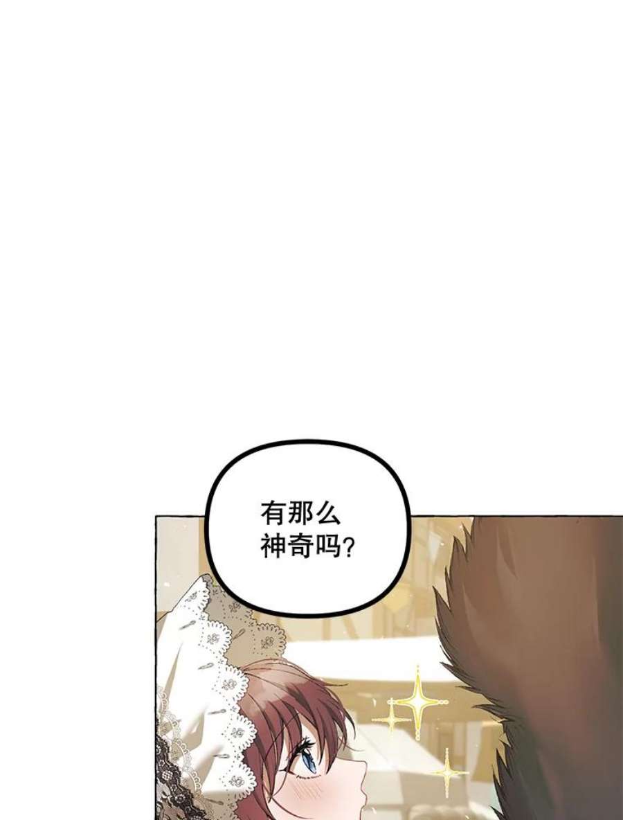 配角时间有限18.魔兽出没