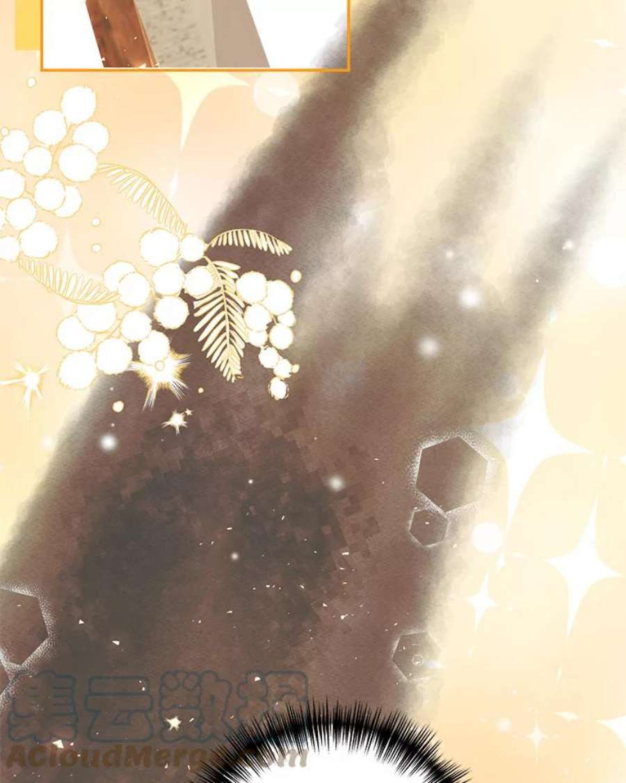 配角时间有限25.奇迹的力量