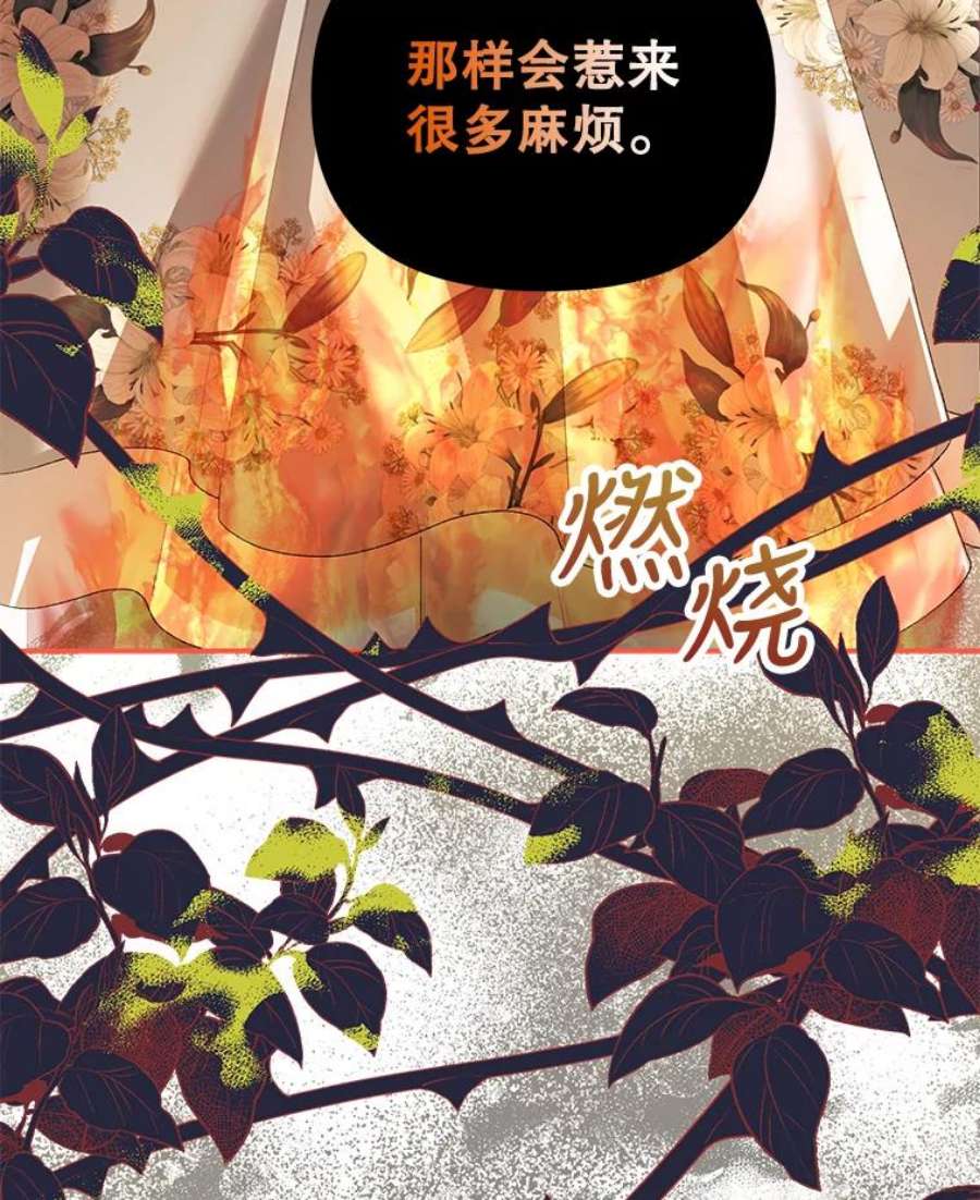 配角时间有限27.伯爵的信