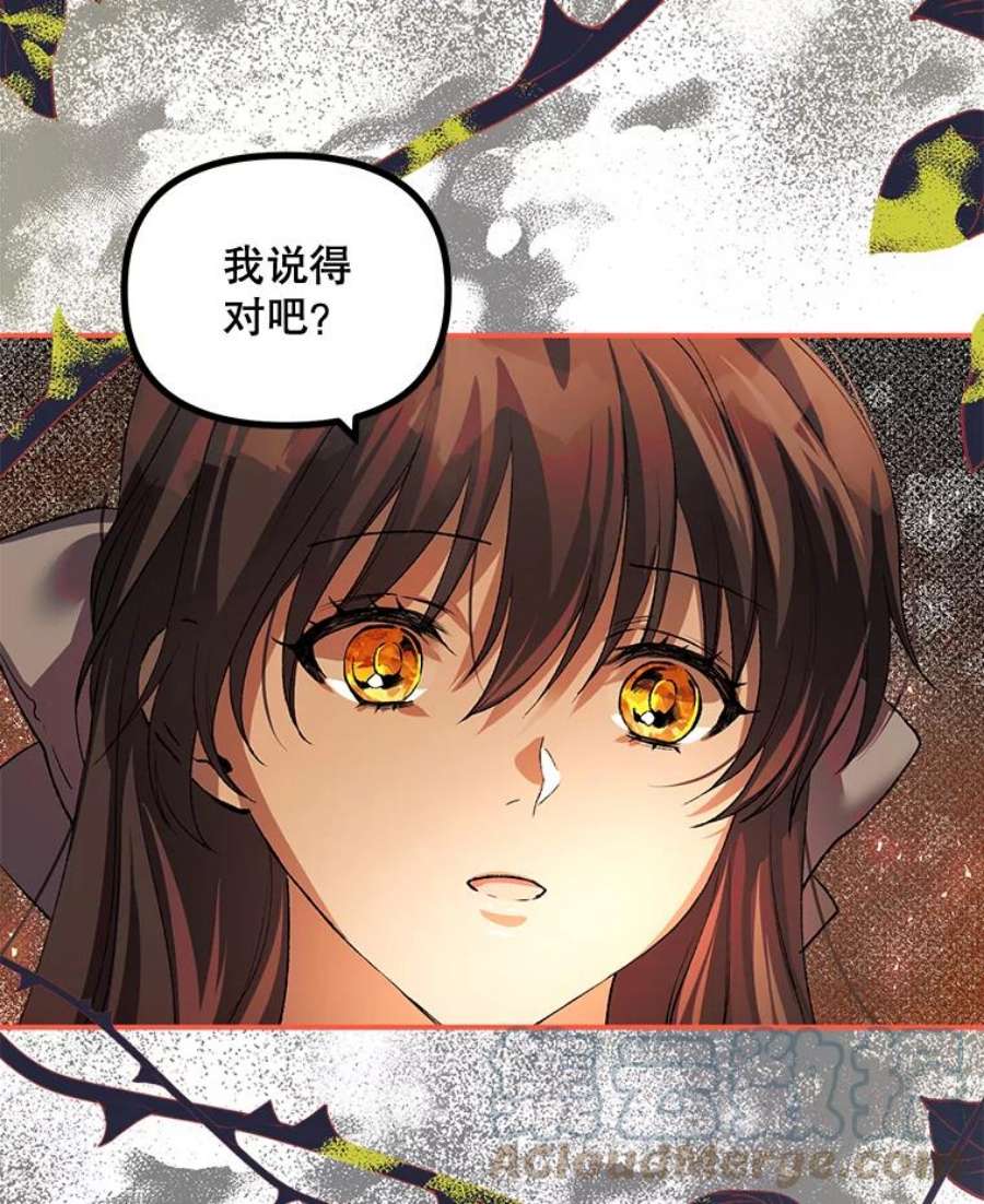 配角时间有限27.伯爵的信