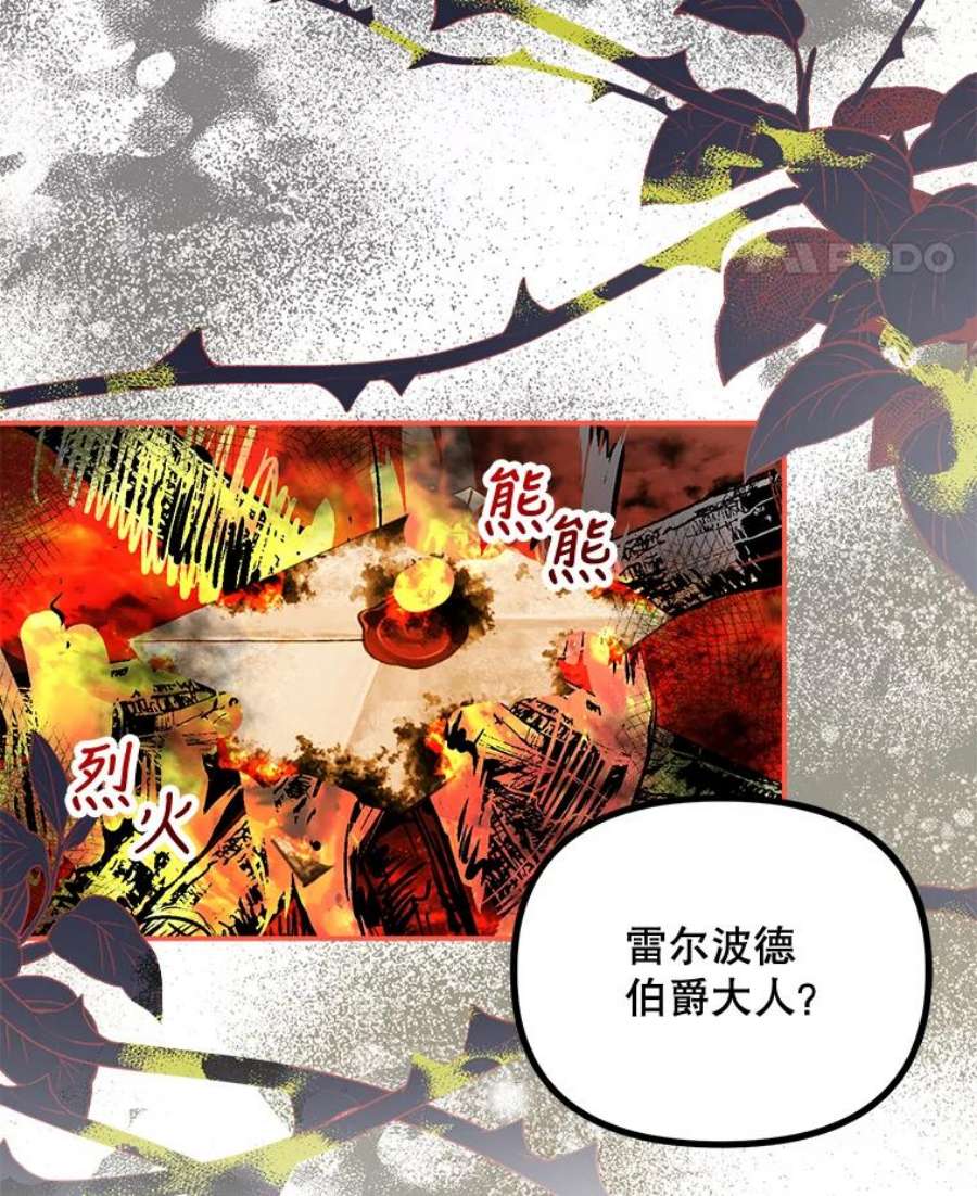 配角时间有限27.伯爵的信