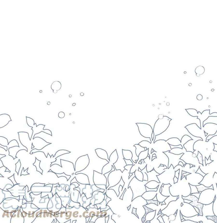 配角时间有限27.伯爵的信