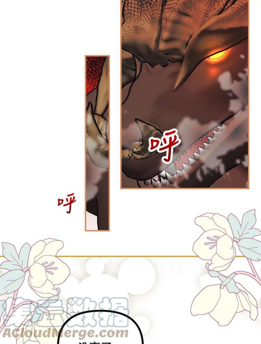 配角时间有限27.伯爵的信