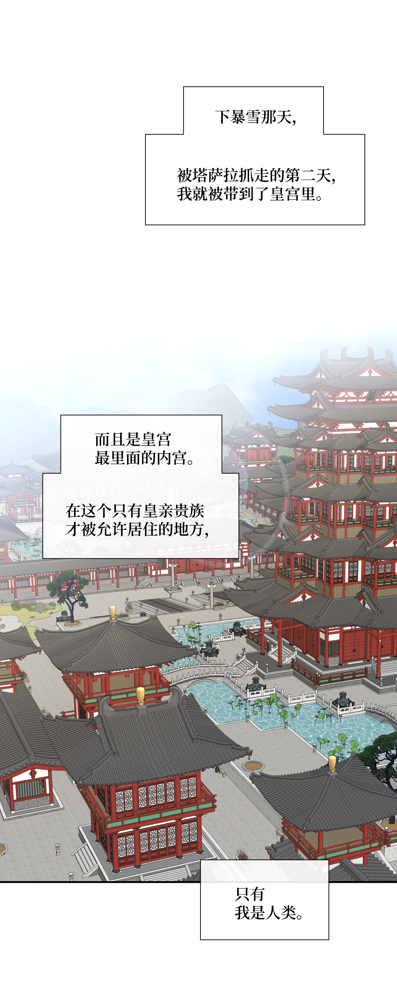 风之迹39 矛盾体（1）
