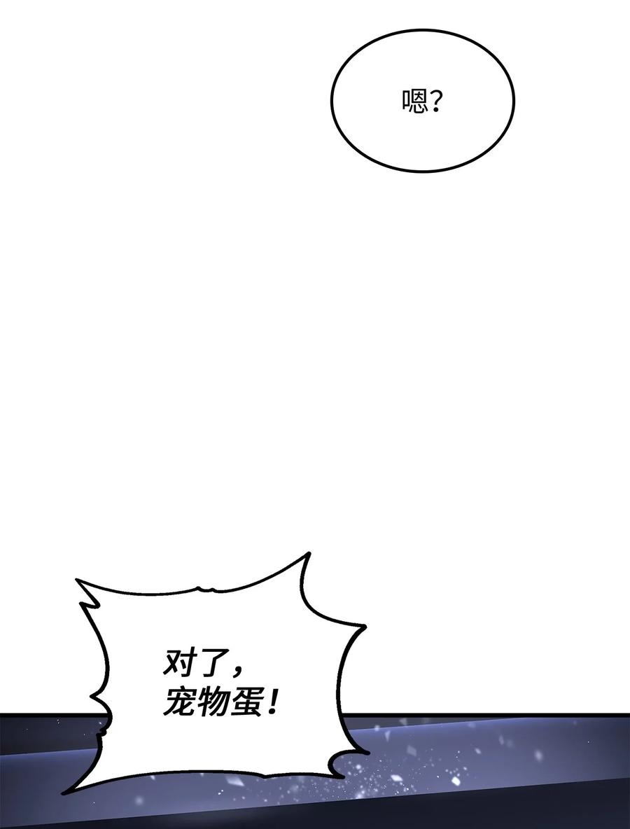 榜上玩家的归还005 奇怪的宠物