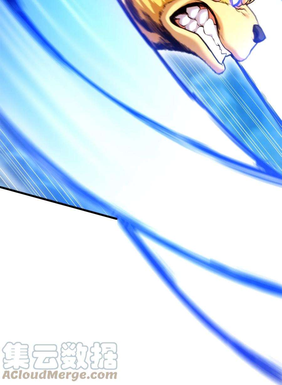 榜上玩家的归还057 五行蜘蛛