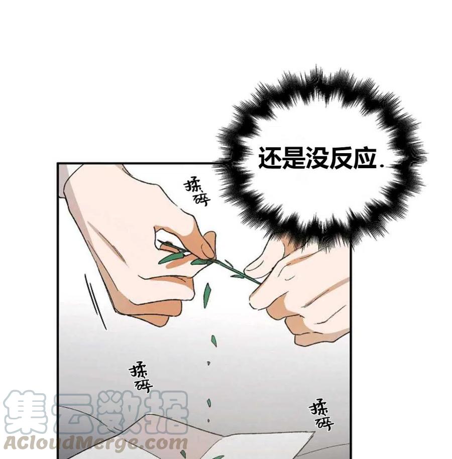 如何守护温柔的你06话