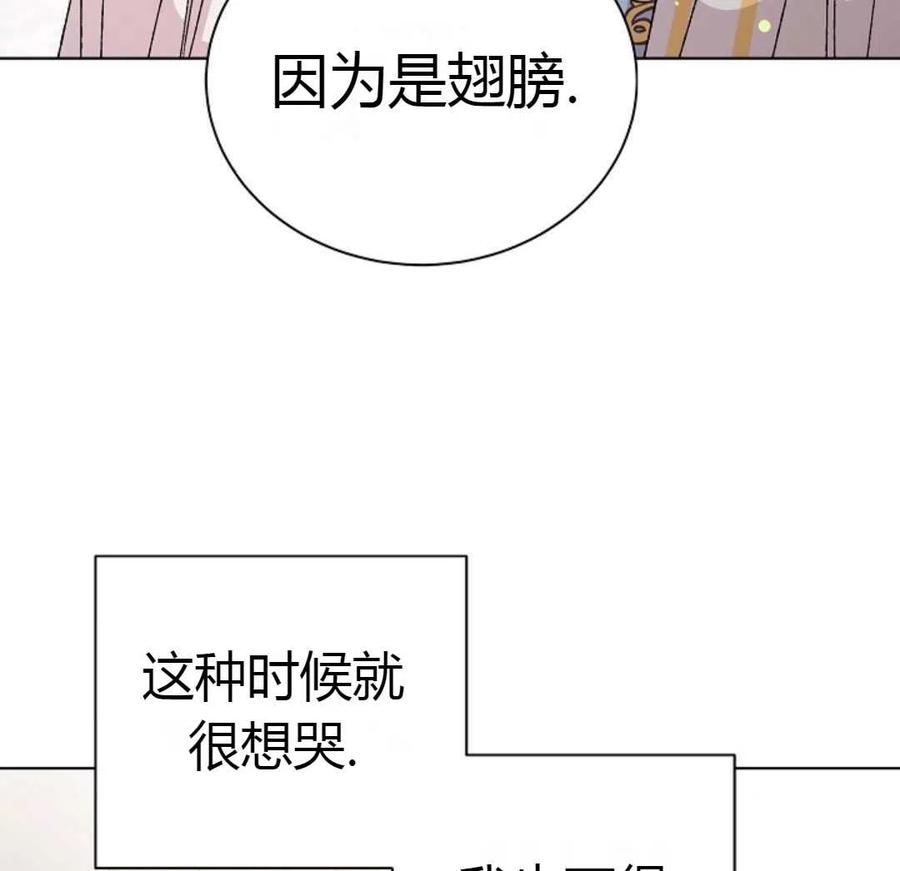 如何守护温柔的你12话
