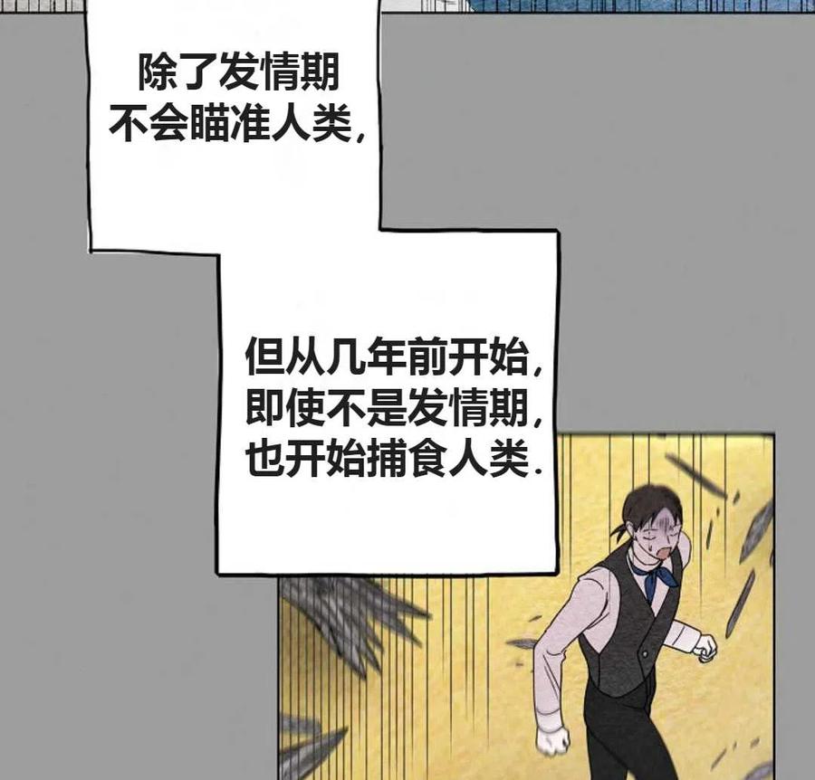 如何守护温柔的你20话