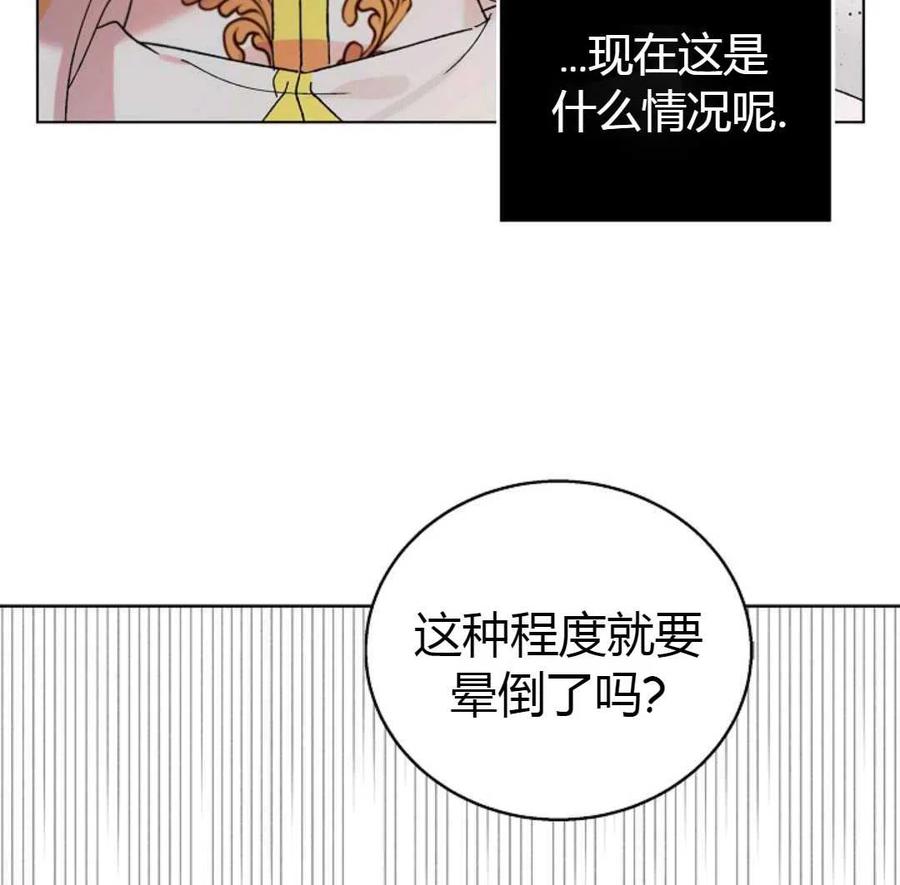 如何守护温柔的你23话