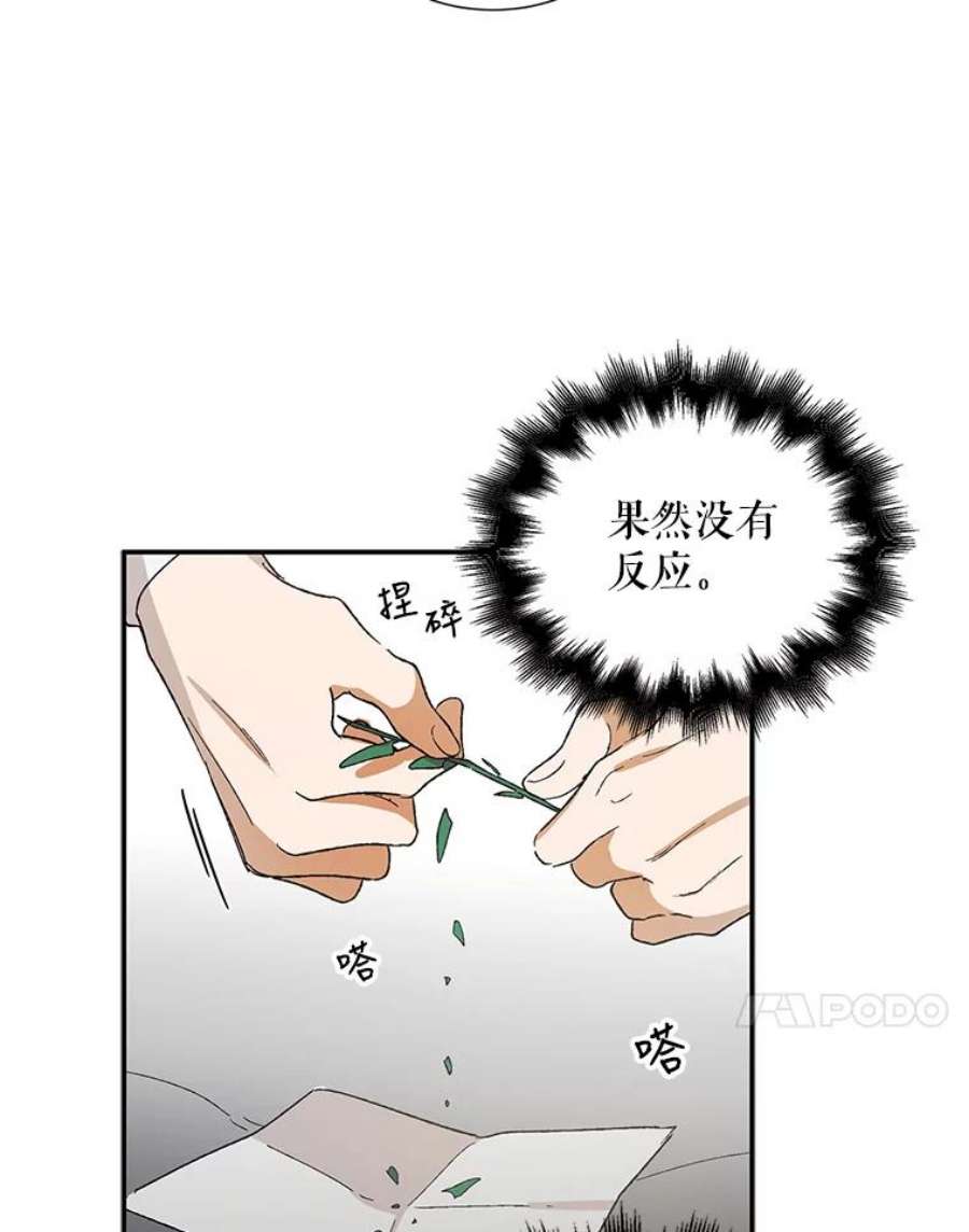 如何守护温柔的你6.草药的阴谋