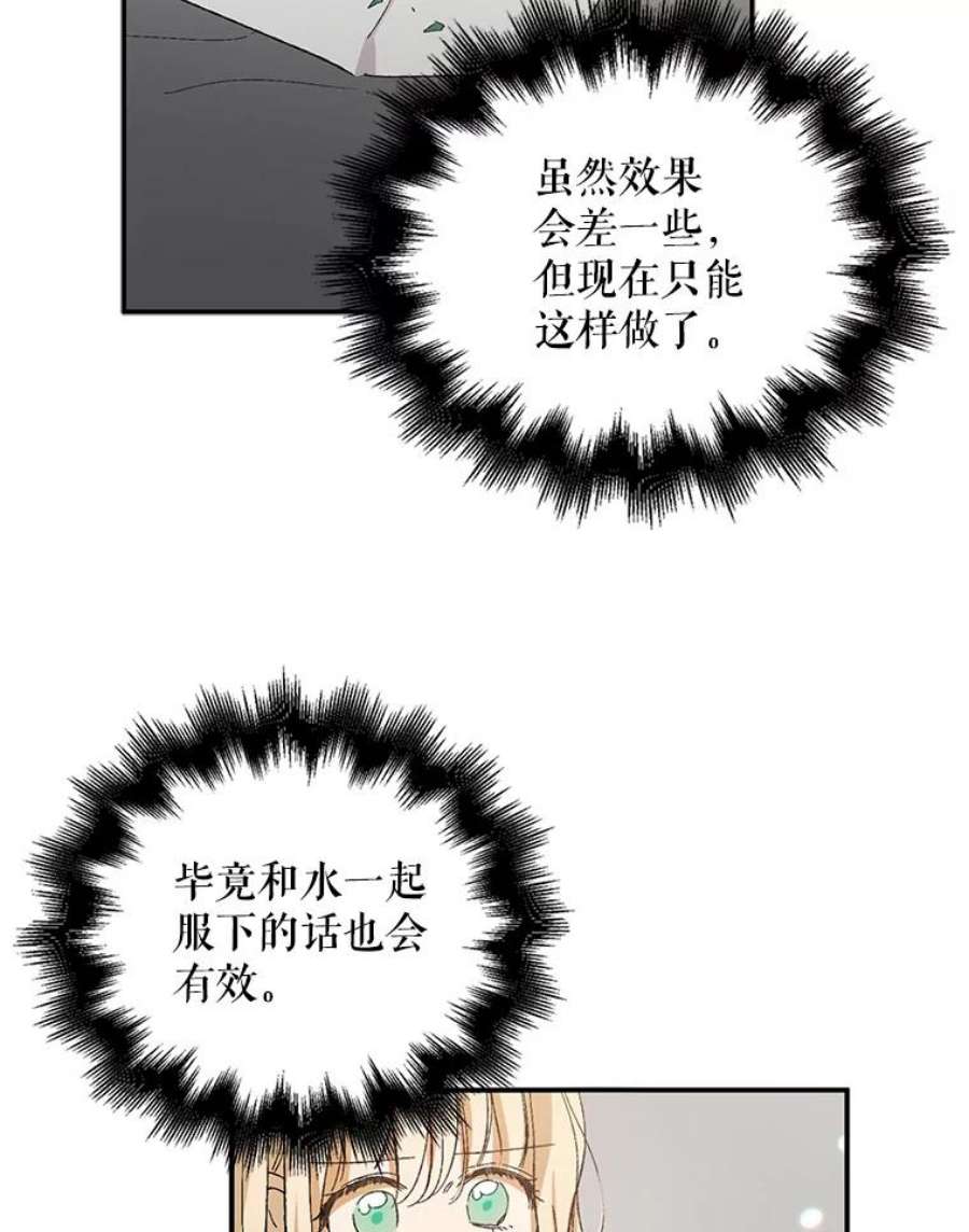 如何守护温柔的你6.草药的阴谋