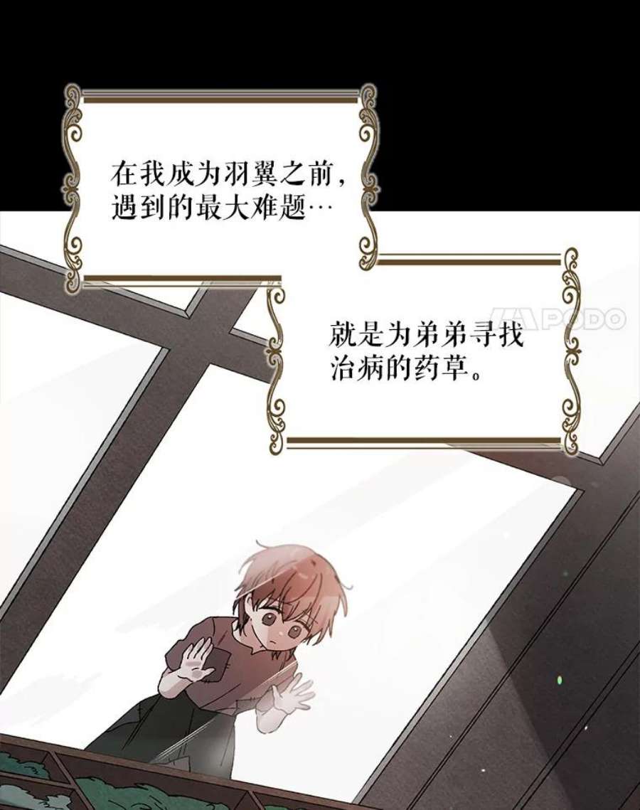 如何守护温柔的你11.第九羽翼的诞生