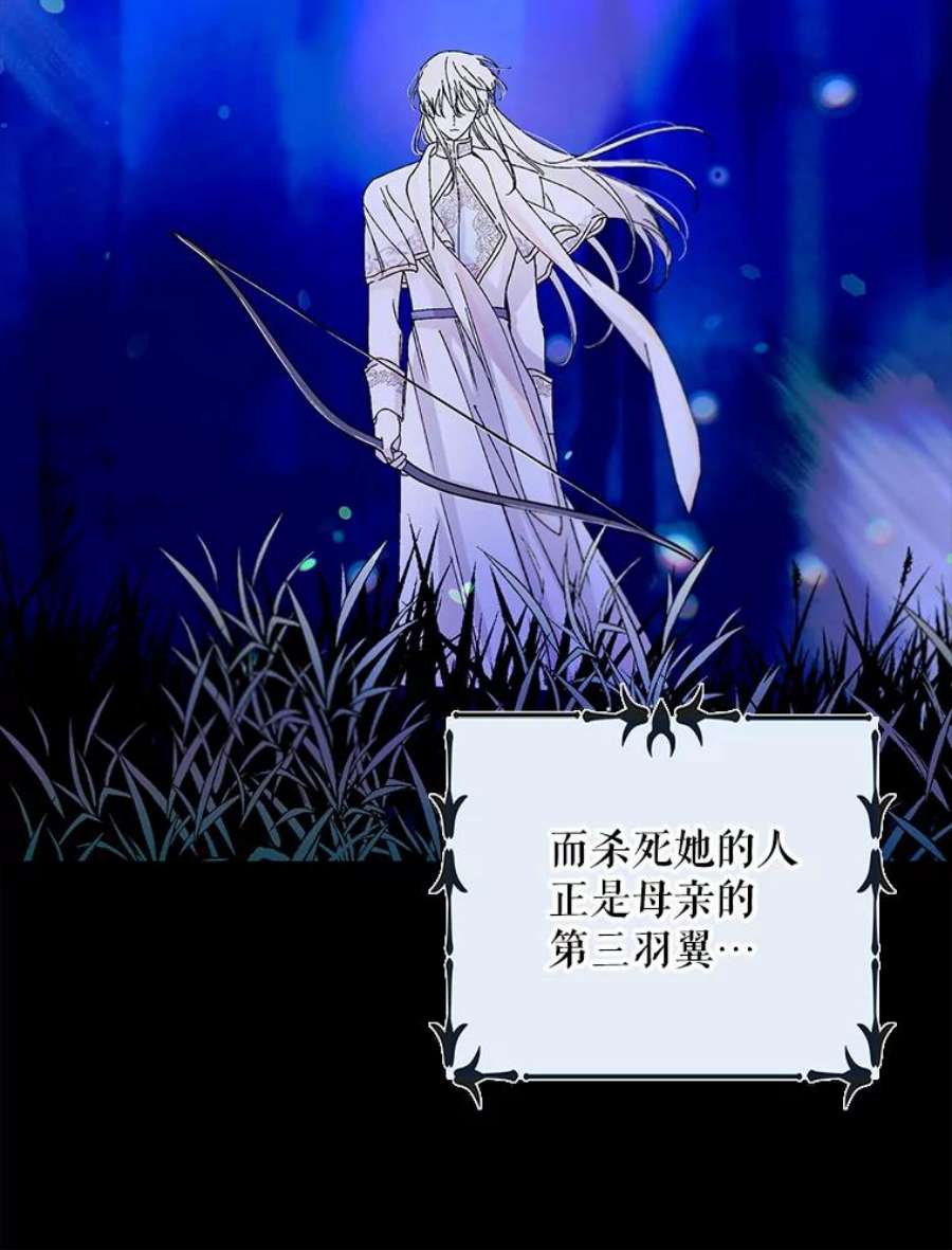 如何守护温柔的你13.第九羽翼的承诺