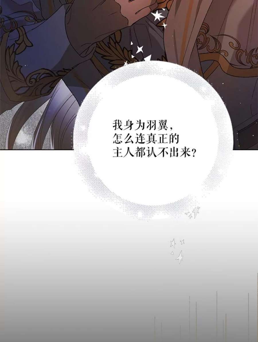如何守护温柔的你40.第二羽翼的诞生