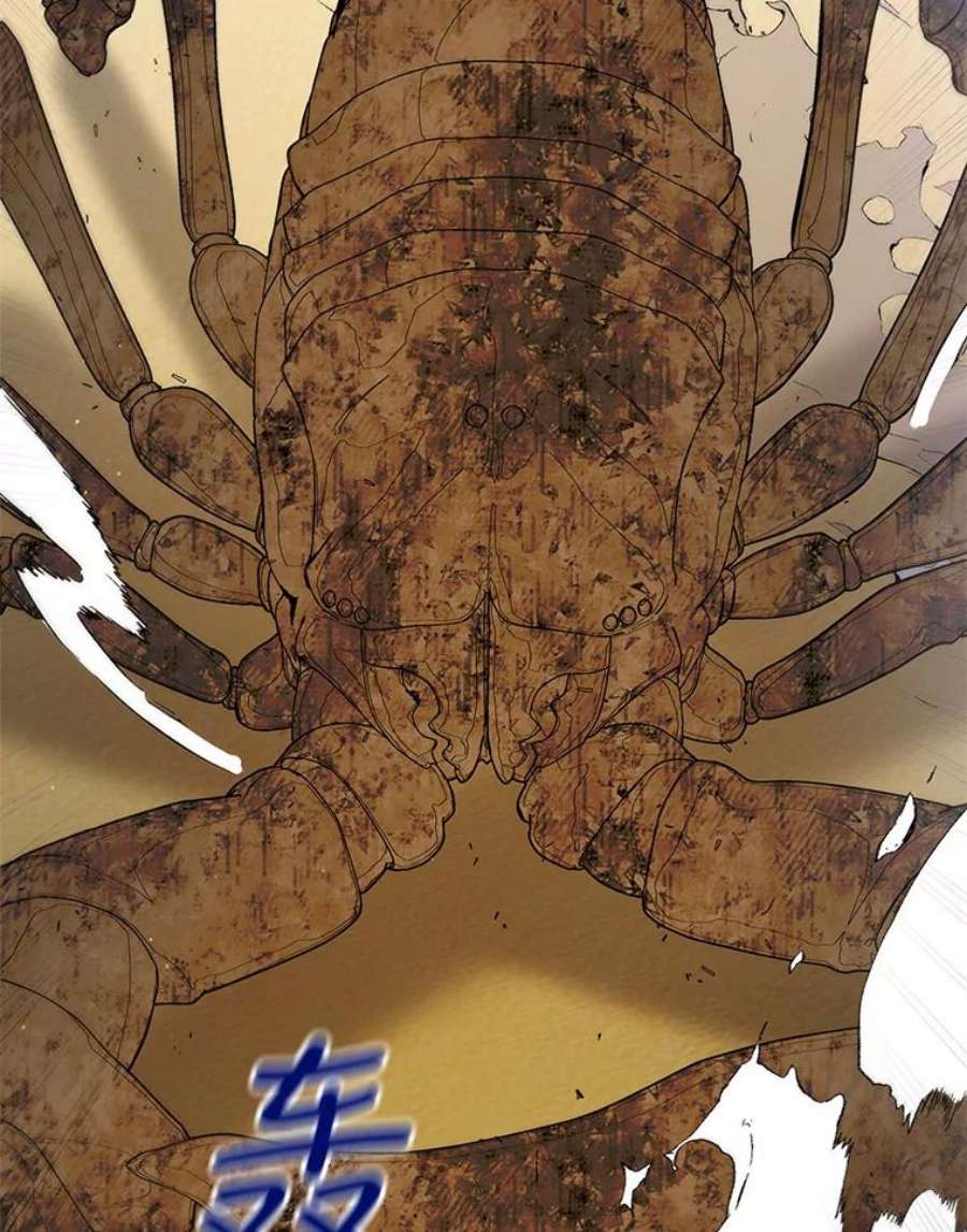 如何守护温柔的你66.第三羽翼觉醒